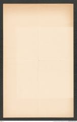 k.k. naturhistorisches Hofmuseum, Intendanzakten 1876-1884 (Hochstetter), Aktenzahl Z.294.d/1884, Seite 4